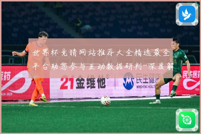 世界杯竞猜网站推荐大全精选最全平台助您参与互动数据研判-深度解析